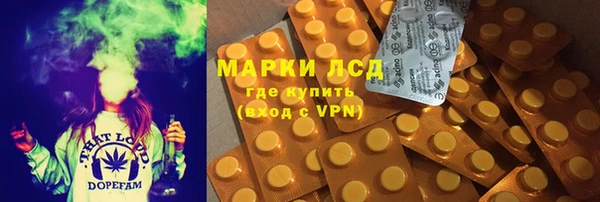 индика Богородск