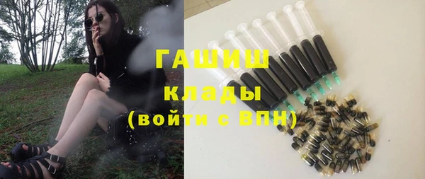 дживик Бородино