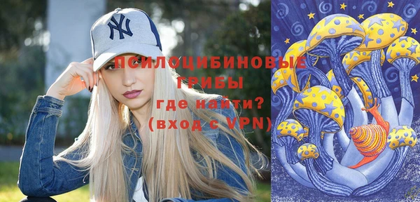дживик Бородино