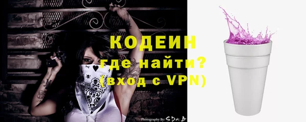 индика Богородск