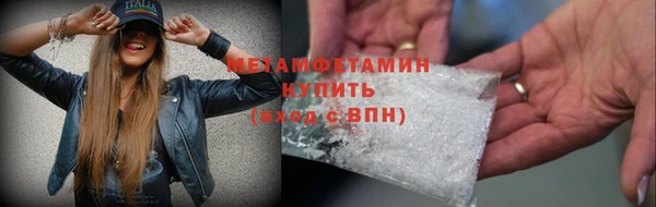 индика Богородск