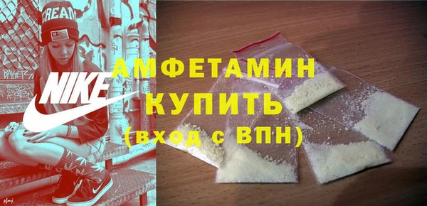 индика Богородск