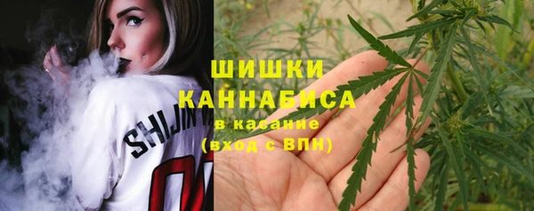 соль ск Богданович