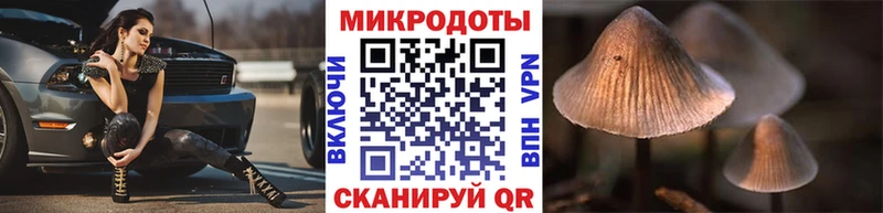 Галлюциногенные грибы Psilocybe  Рязань 