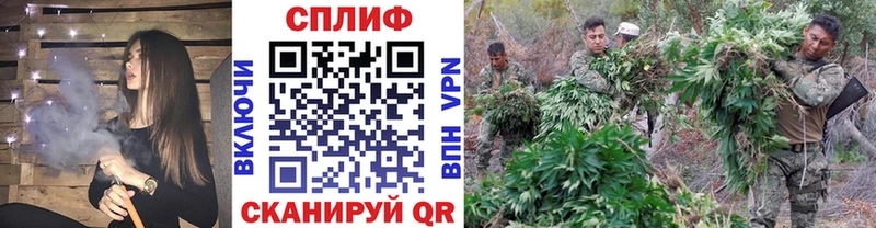 наркотики Рязань Марихуана ГИДРОПОН